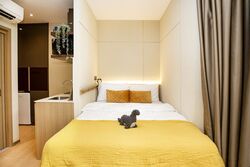 Mount Elizabeth Link (D9), Condominium #593526441